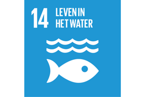 Sustainable Development Goal 14: Leven in het water