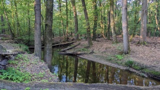 Beeksysteem