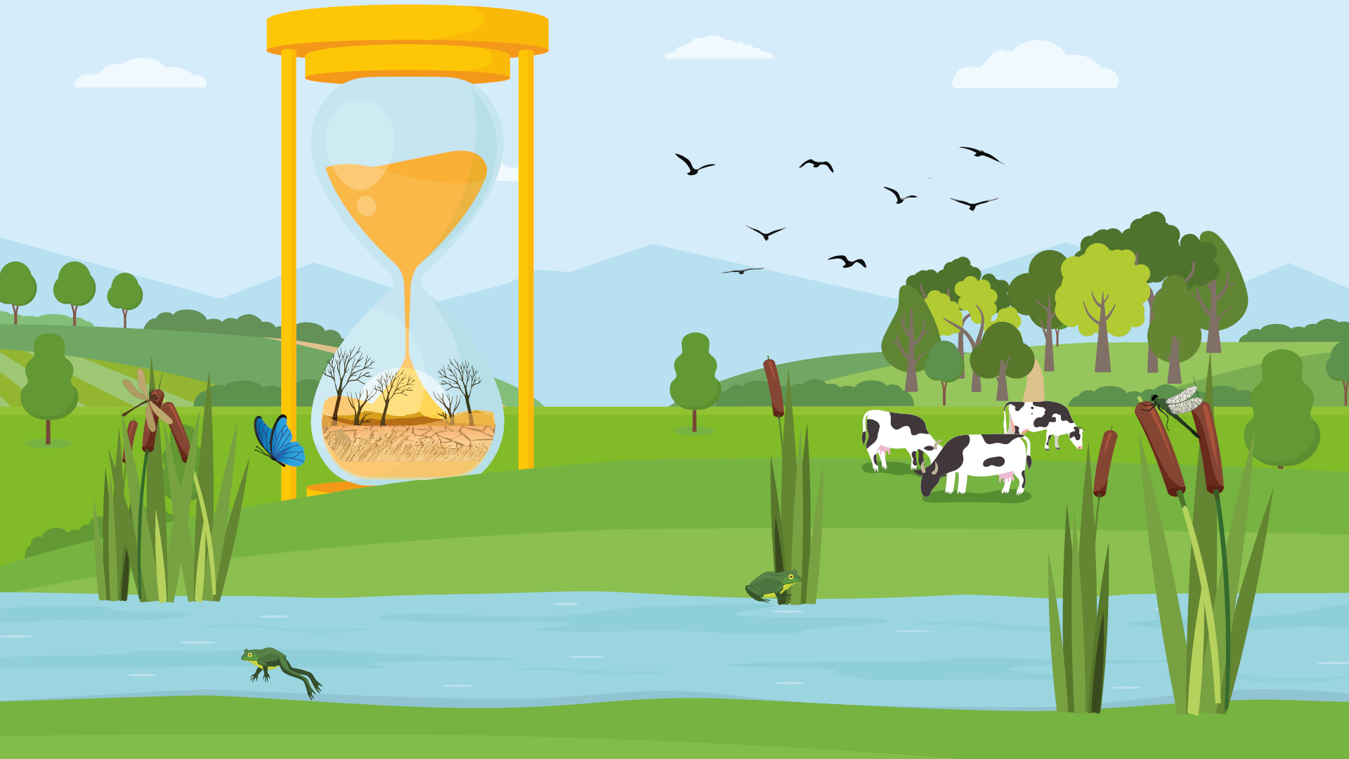 zandloper-ellenweerman