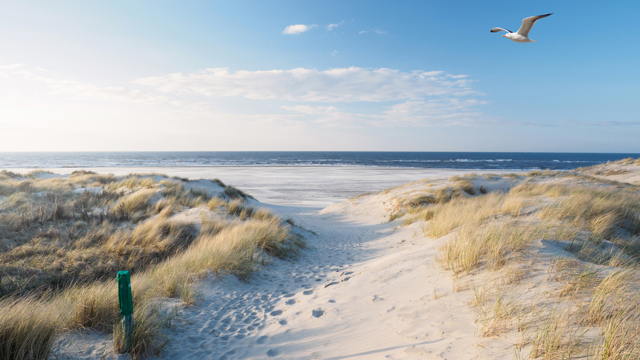 photo schouwen duivenland