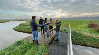 Groene Woud