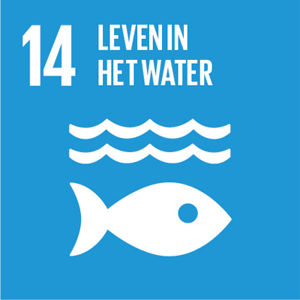 Sustainable Development Goal 14: Leven in het water