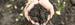 Hands with soil