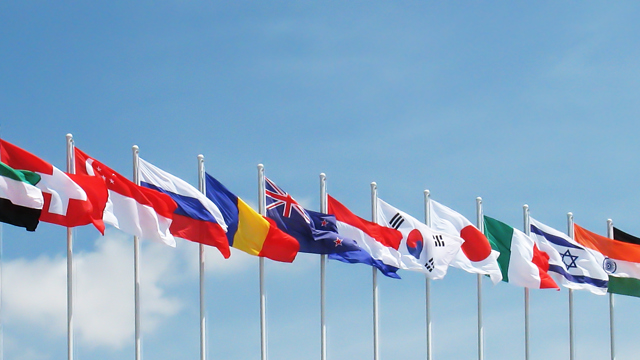 Vlaggen van verschillende landen