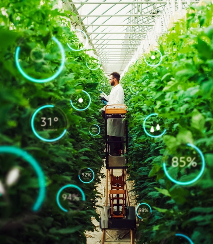 Lectoraat Horticulture Technologies