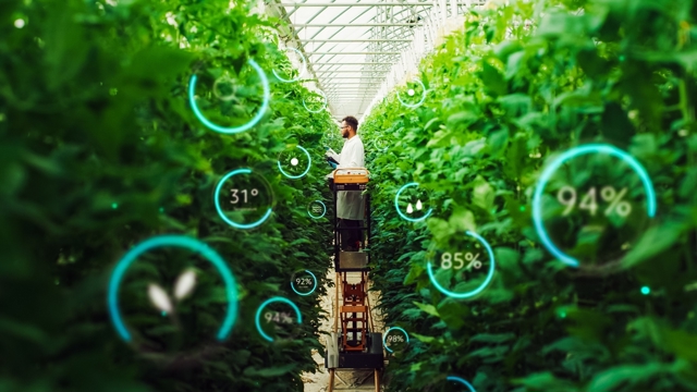 Horticulture Technologies professorship