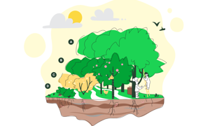 voedselbossen illustratie