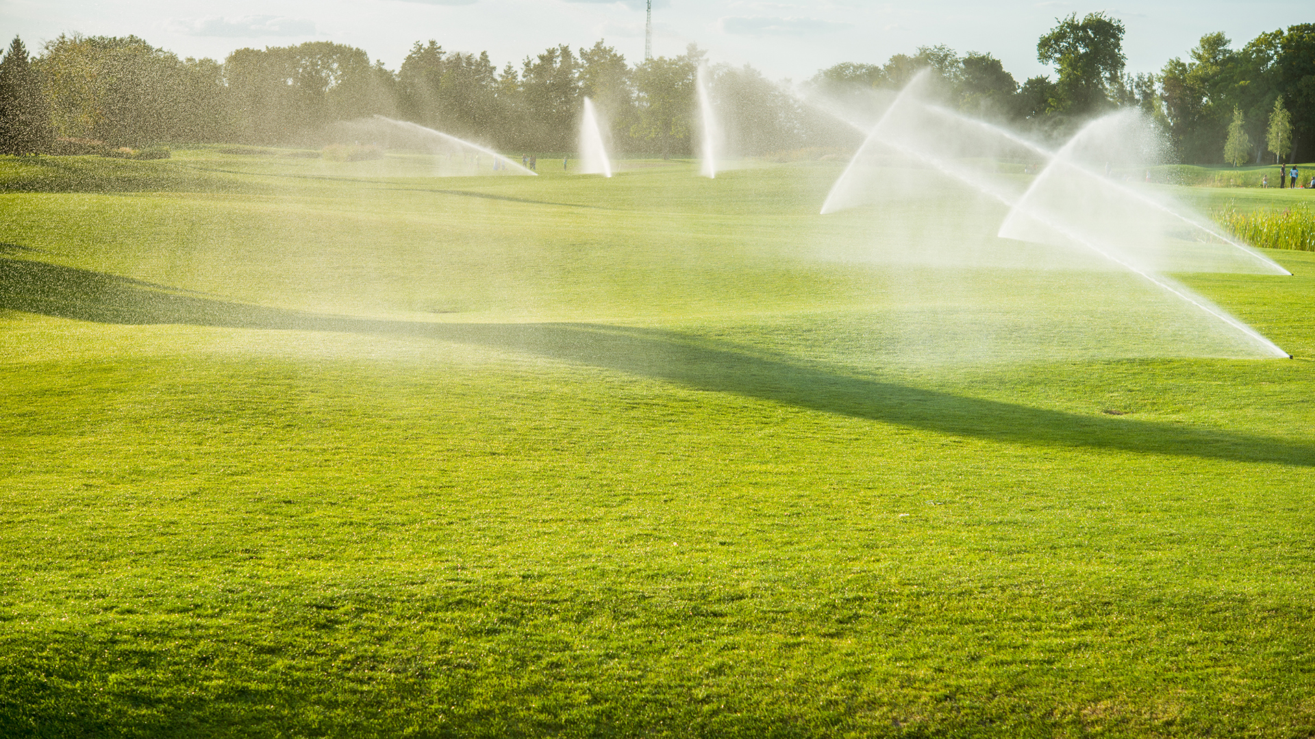 Grasveld dat wordt besproeid - Cursus duurzaam waterbeheer