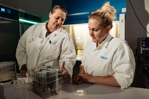 Microbiologielab