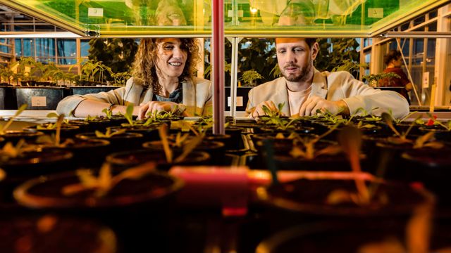 Students in greenhouse take notes - Plant breeding for non-breeders