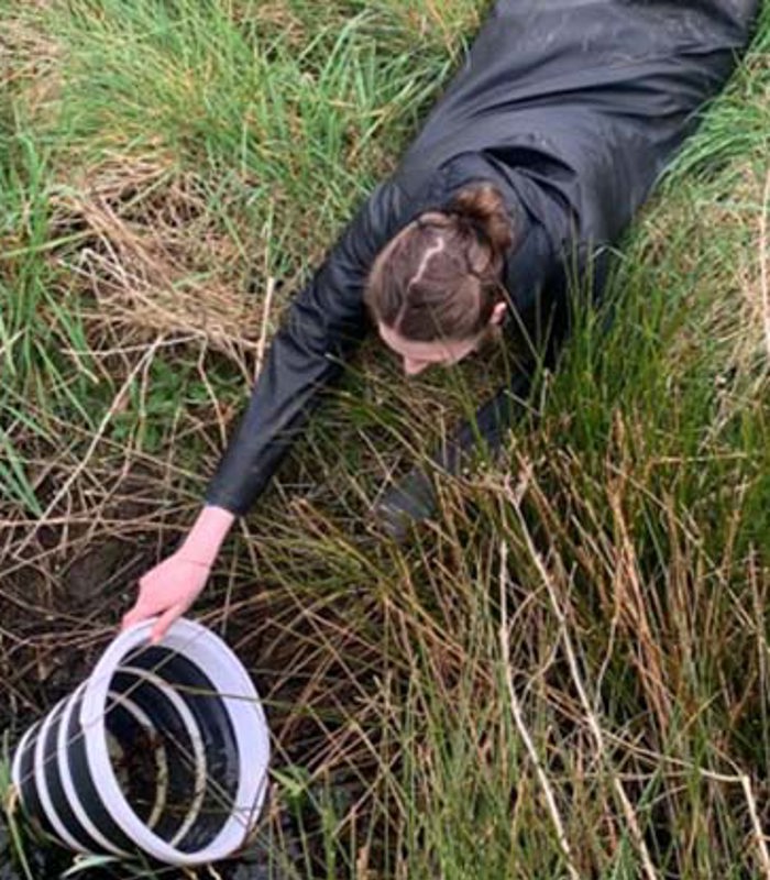 Biodiversiteitsmonitor
