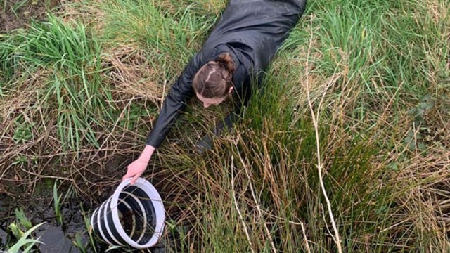 Biodiversiteitsmonitor