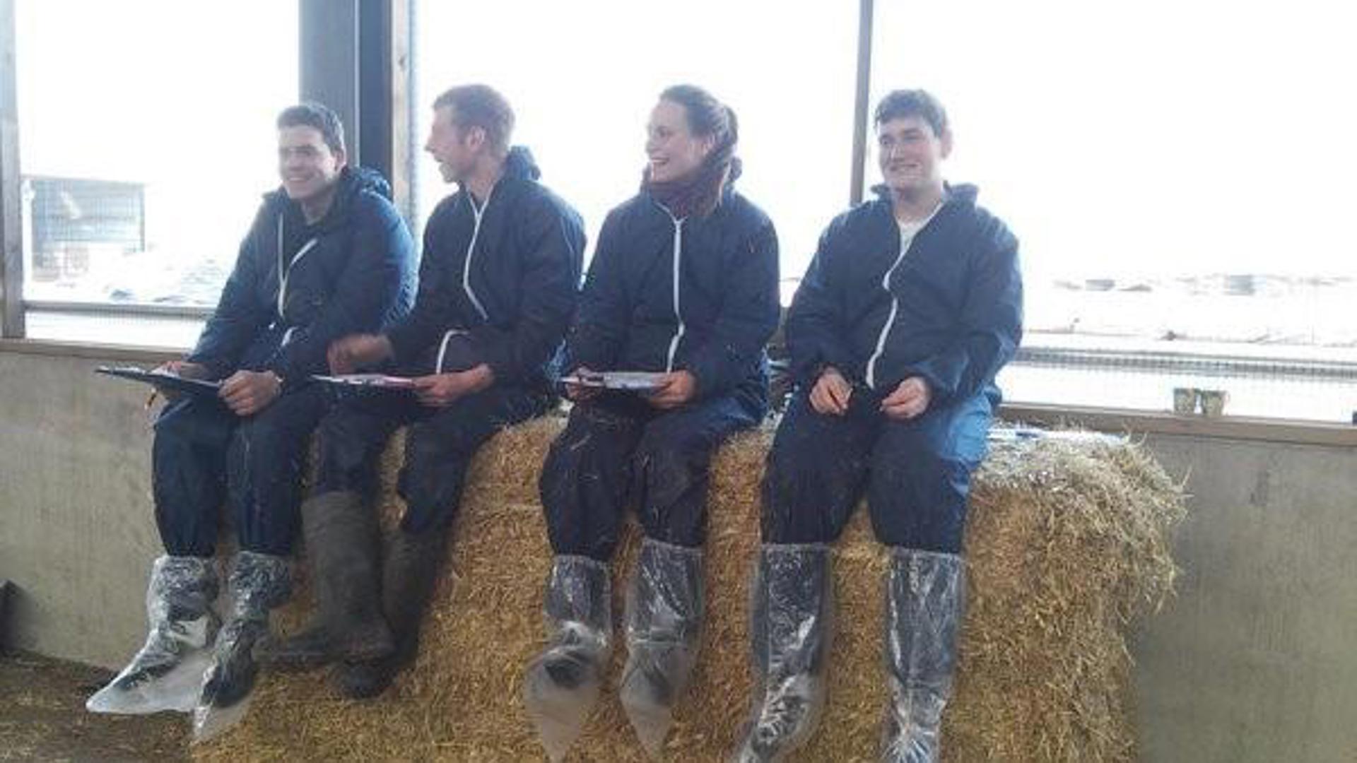 Persons with clipboard sit on hay bale