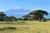 Landschap van Kenia