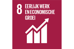 Sustainable Development Goal 8: Eerlijk werk en economische groei