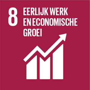 Sustainable Development Goal 8: Eerlijk werk en economische groei