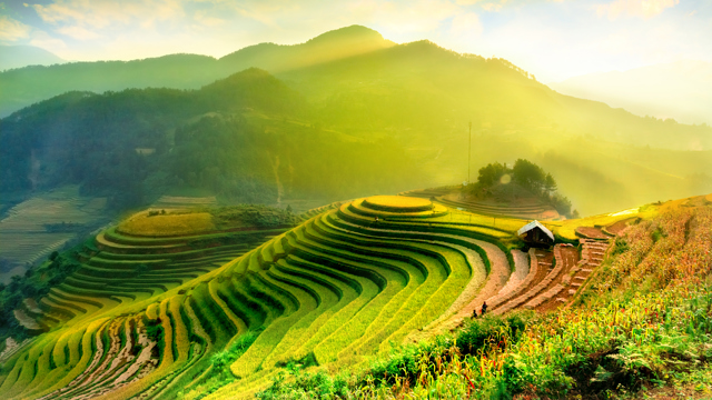 Landscape Vietnam
