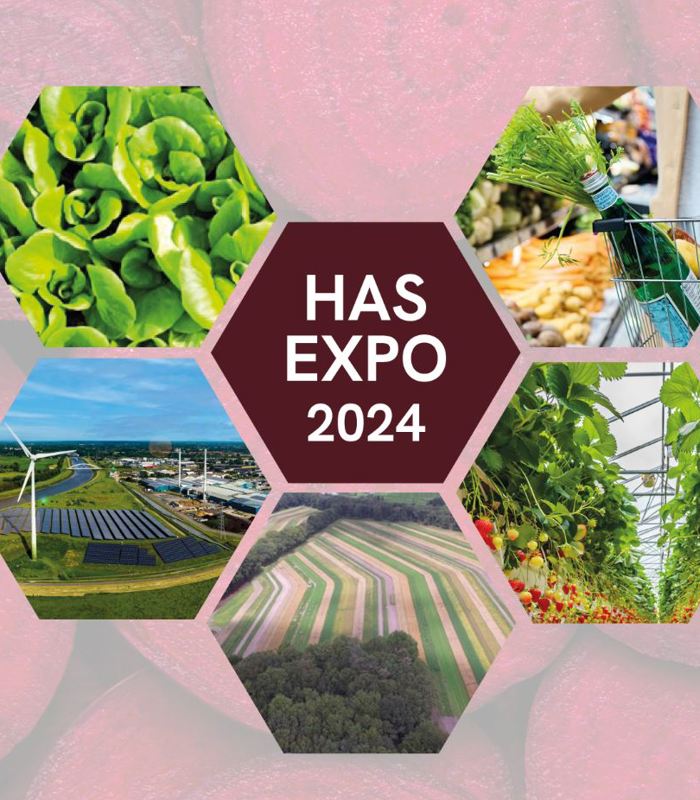 Expo