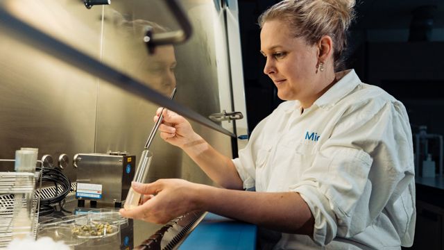 Reageerbuisjes met pincet - Cursus Weefselkweek bij planten