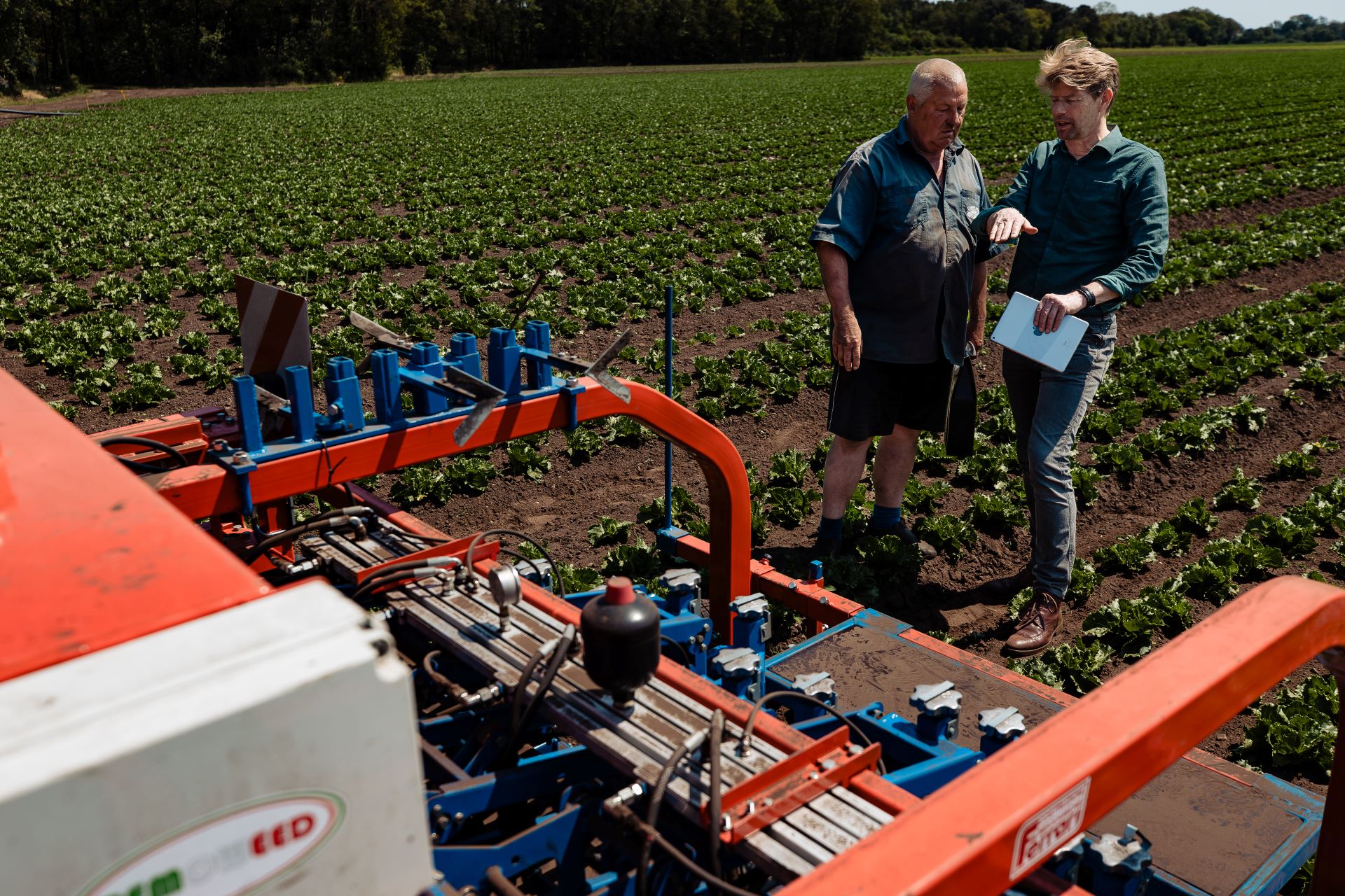 mannen op een akkerveld