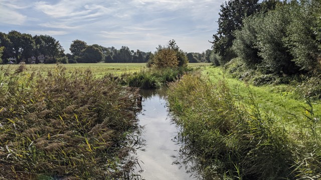 ecologische waterkwaliteit