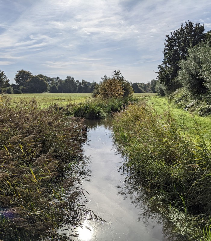 ecologische waterkwaliteit