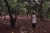 Cashew farmer
