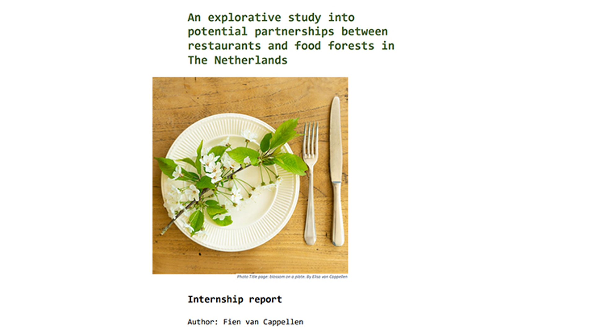 Titel pagina Internsip report