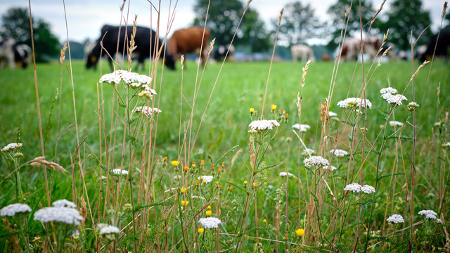 Scholingsaanbod toekomstbestendige landbouw (SABE-regeling)