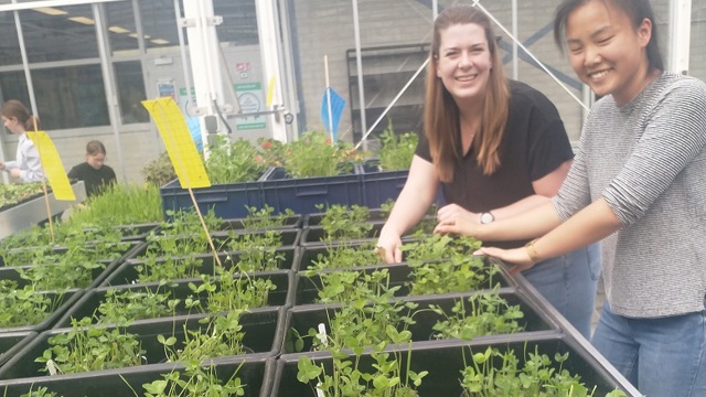 Onderzoekslijn2_metingenkas