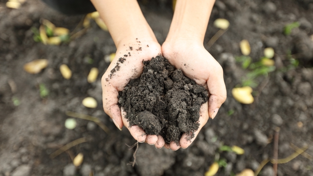 Handen met grond
