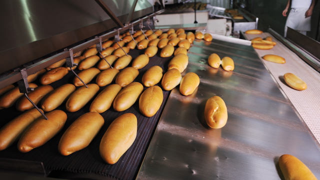 Cursus Bakkerijtechnologie