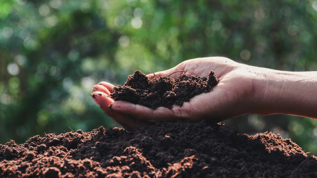 Hand pakt aarde