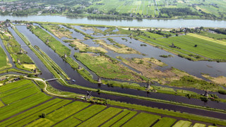 Kinderdijk