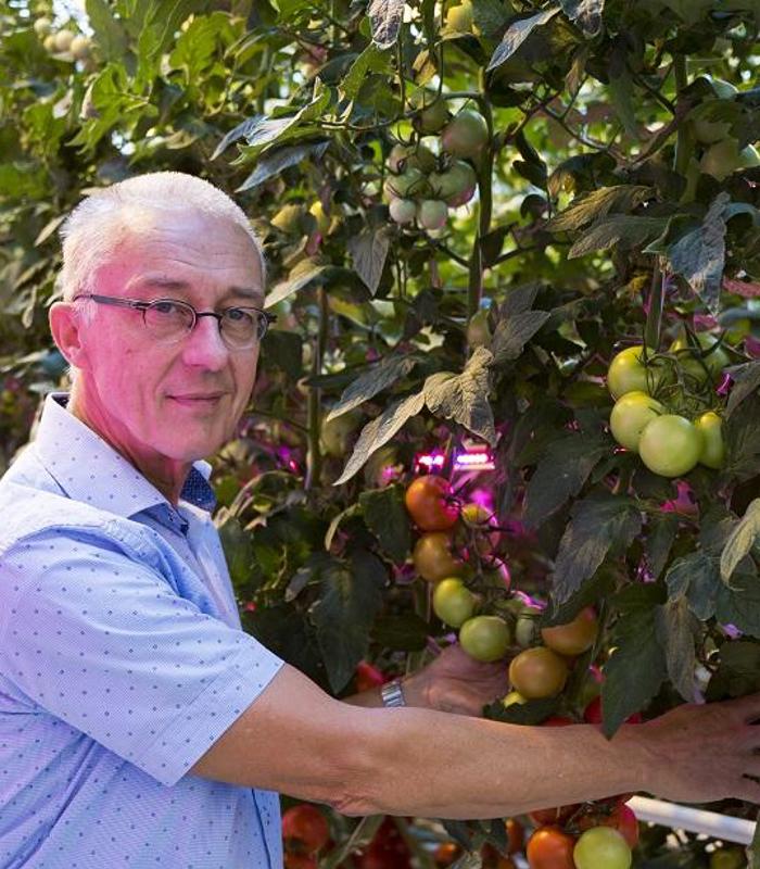 Lector Jasper den Besten