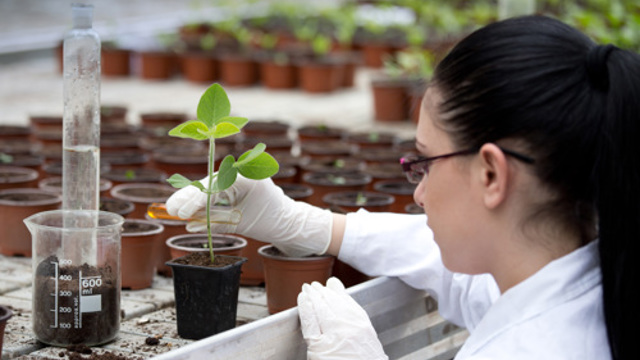 Woman with test tube and plant