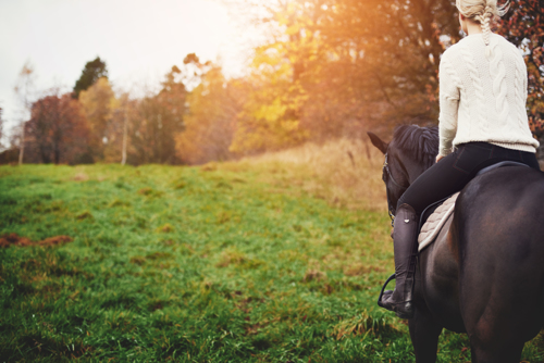 vrouw op paard in de natuur