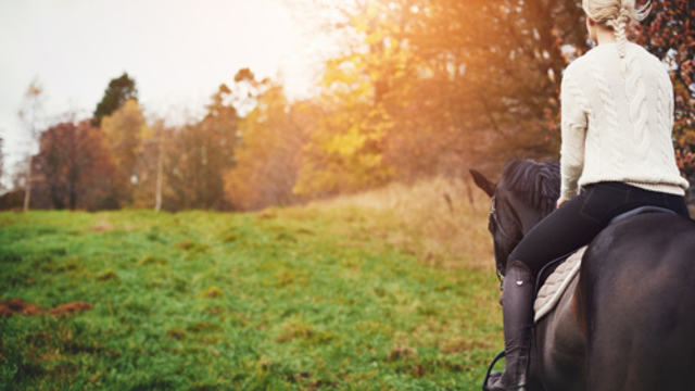 vrouw op paard in de natuur