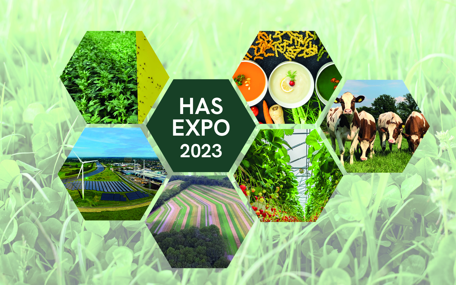 HAS Expo overview