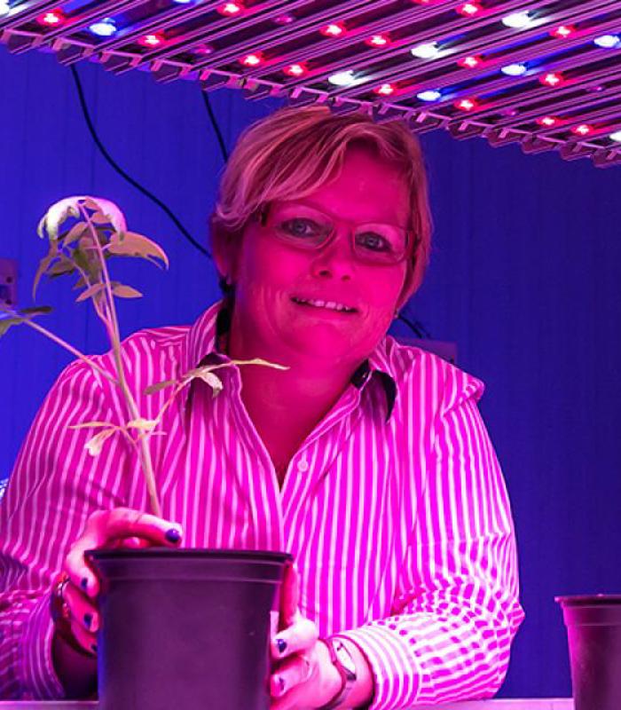 vrouw met tomatenplant