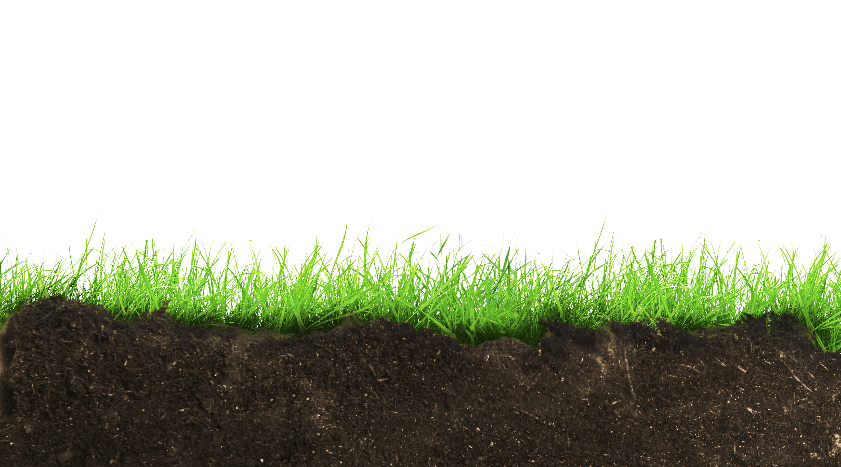 bodem bedekt met gras