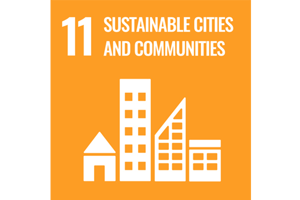 Sustainable Development Goal 11: Sustainable cities and communities