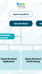 Organization chart HAS University of Applied Sciences