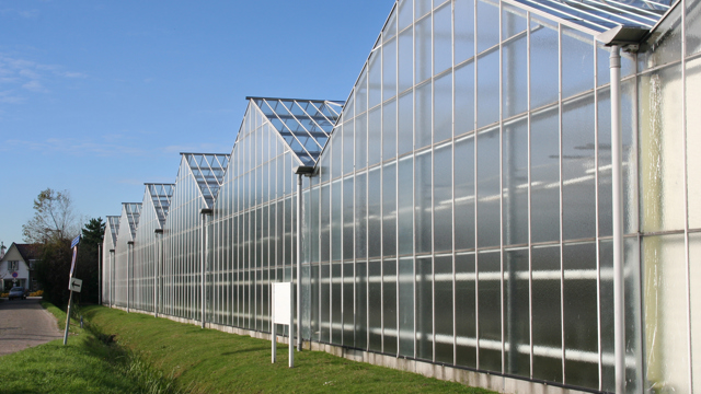 Kassen - Sectorcursus (glas)tuinbouw