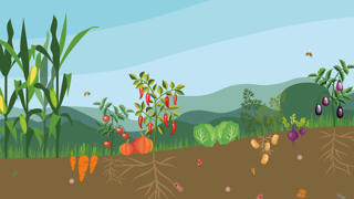 What about Soil?