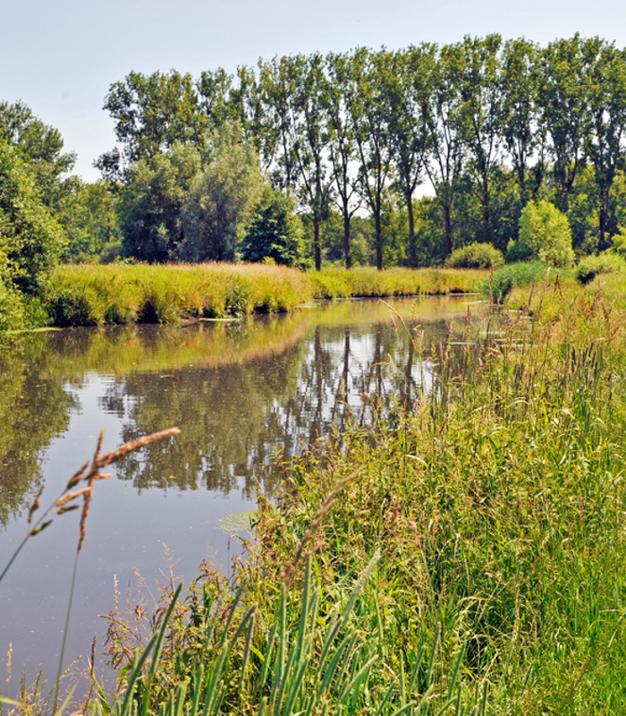 watersysteem