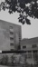 HAS Gebouw Den Bosch Vroeger HAS Hogeschool
