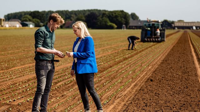 Cursisten op het land - gewasbescherming