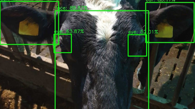 Koe detectie ziekte MKZ