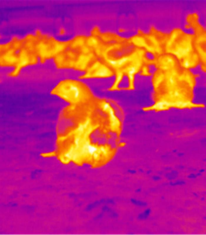 Heat camera